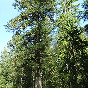 Le Croz - LE CROUZET