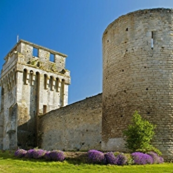 Ferme de Blin - Vallée de la Druyes - DRUYES-LES-BELLES-FONTAINES