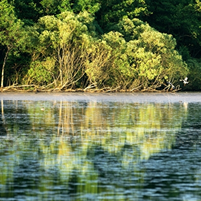 Le Sentier des Étangs de la Bresse Jurassienne