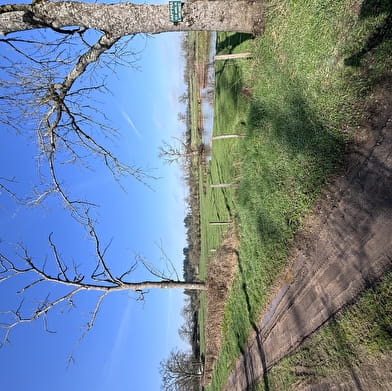 Balade Verte - Balade entre prairie, forêt et rivière (VSG 2)