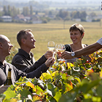 Balade entre vignes et vins - BEAUNE