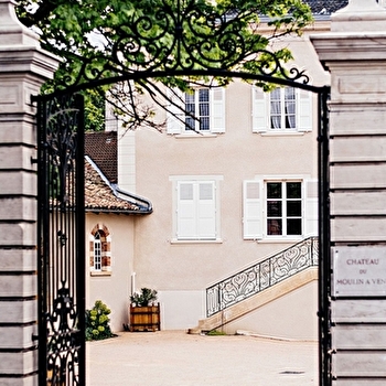 Du Château des Thorins au Château du Moulin-à-Vent - ROMANECHE-THORINS