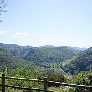 Circuit des grottes et des vignes à Cerdon - CERDON