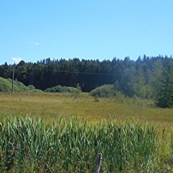 Lac et tourbière de Malpas - MALPAS