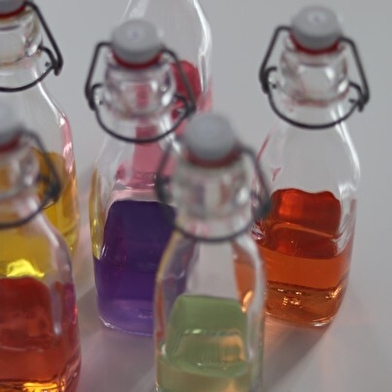 Sensation Vin – L'Essentiel Dégustation