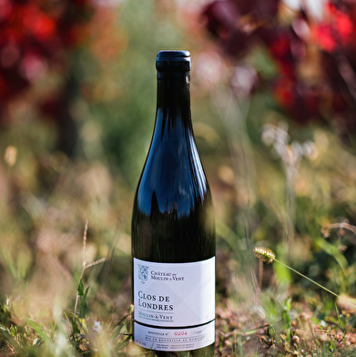 Château du Moulin-à-Vent, une histoire de terroirs!