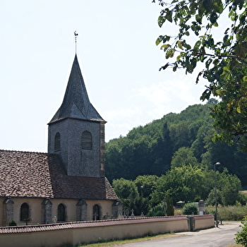 église Saint Martin  - SAINT-MARTIN-DE-LA-MER