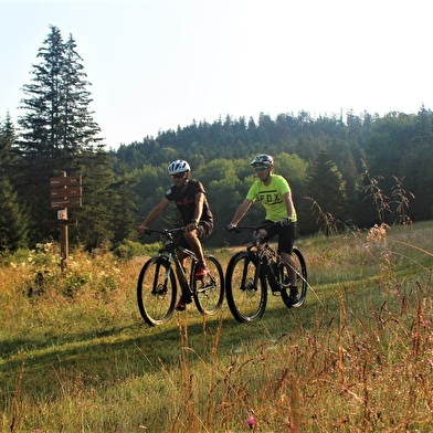 Parcours VTT 64 rouge - Montfalcon - Espace FFC Ain Forestière