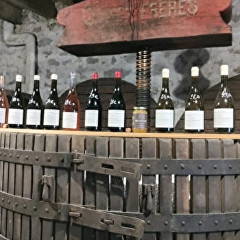 Dégustation 3 vins au Domaine de la Cozanne - CORMOT-VAUCHIGNON