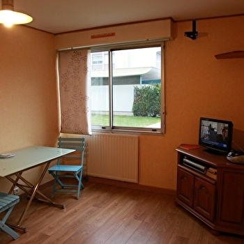 Les Lions du Parc Lyautey - DIJON