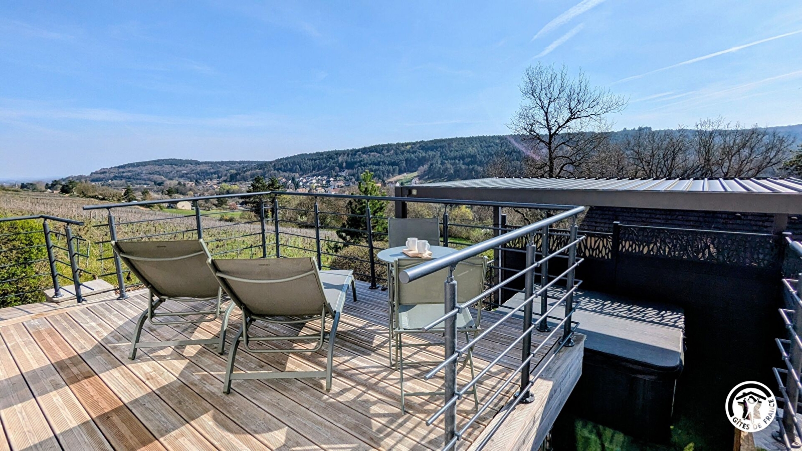 Savigny Vineyard View