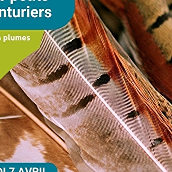Les tout-petits aventuriers - matinée pour les moins de 6 ans - spéciale 'Tout en plumes' - POUILLY-SUR-LOIRE