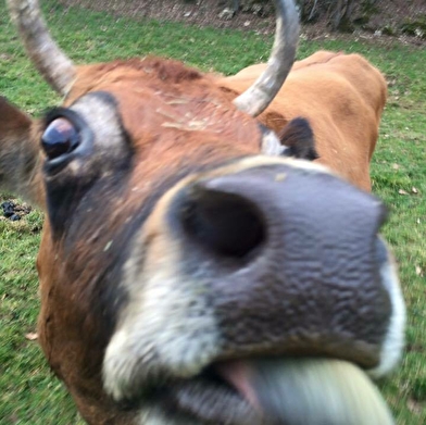 Ferme de l'Âne Eria - Parcours de découverte