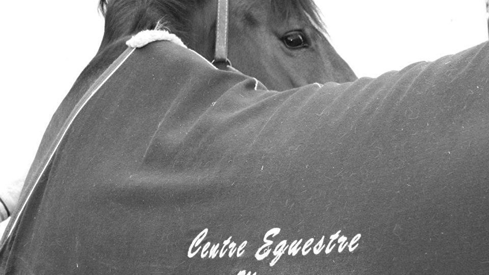 Centre équestre du Moirot