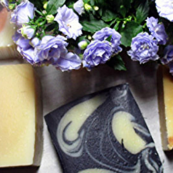 Bellecomme - TINTURY