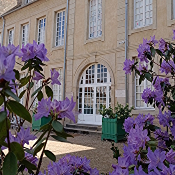 Museum d'Histoire Naturelle Jacques de La Comble - AUTUN