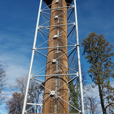 Montée à la Tour des Bois