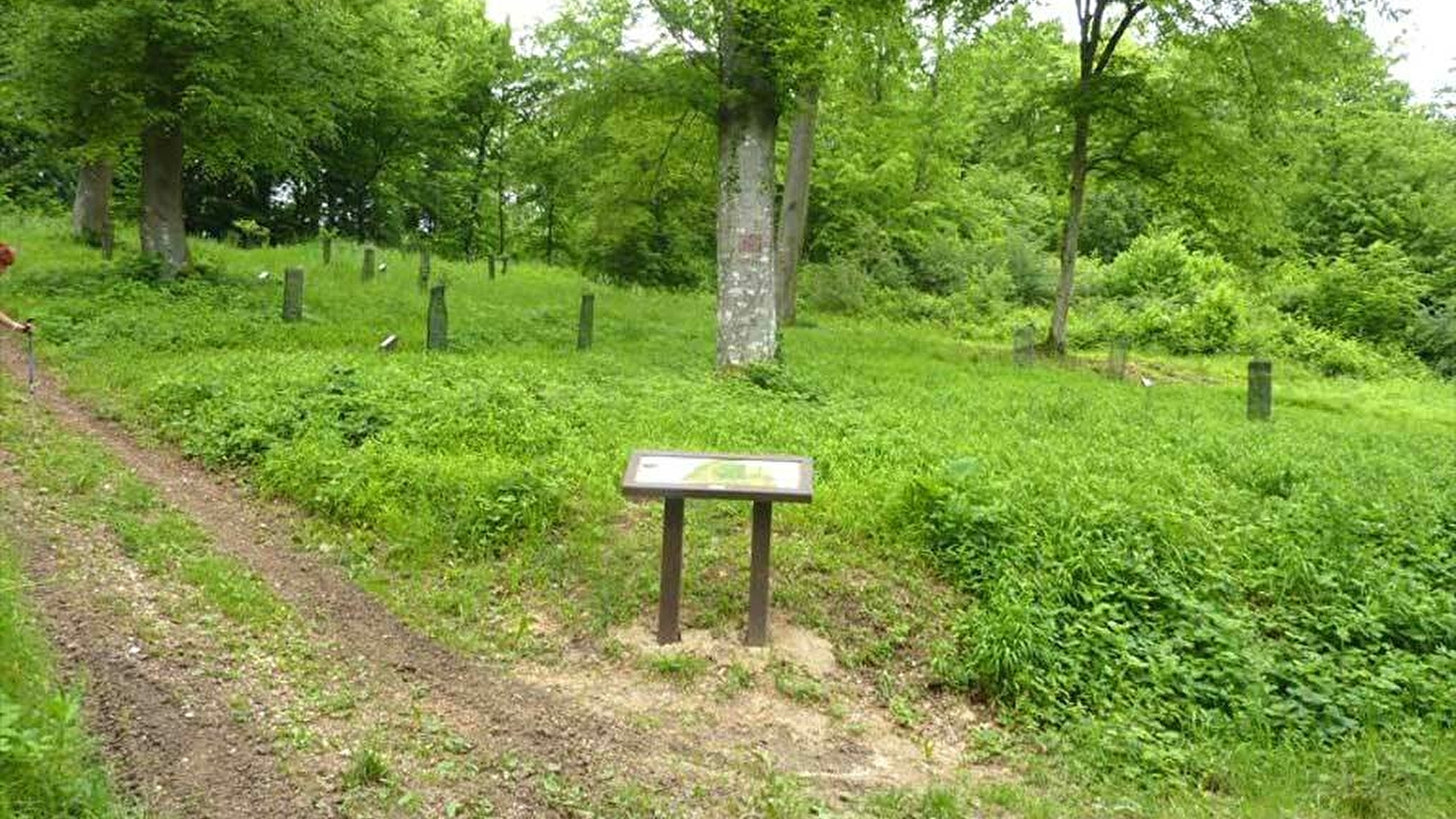 Boucle du bois de la duchesse