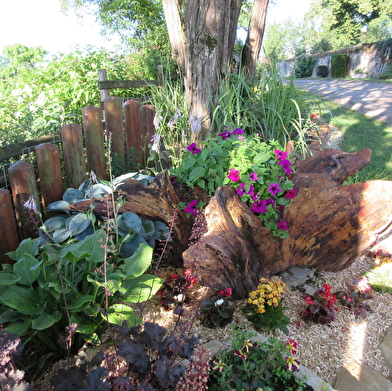 La Traversée des Baudiches - n°12