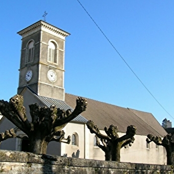 Eglise Saint-Cyr-Sainte-Julitte - ECUELLES