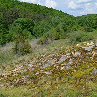 Les marais tufeux de pente _ENS2026  'sur réservation'