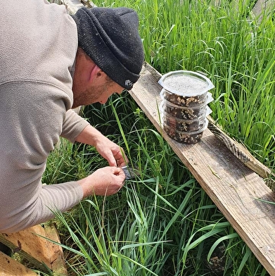 Ferme hélicicole 'L'escargot de Vincent et Elise'