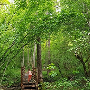 Sentier des Coteaux Bougeon - VEUXHAULLES-SUR-AUBE