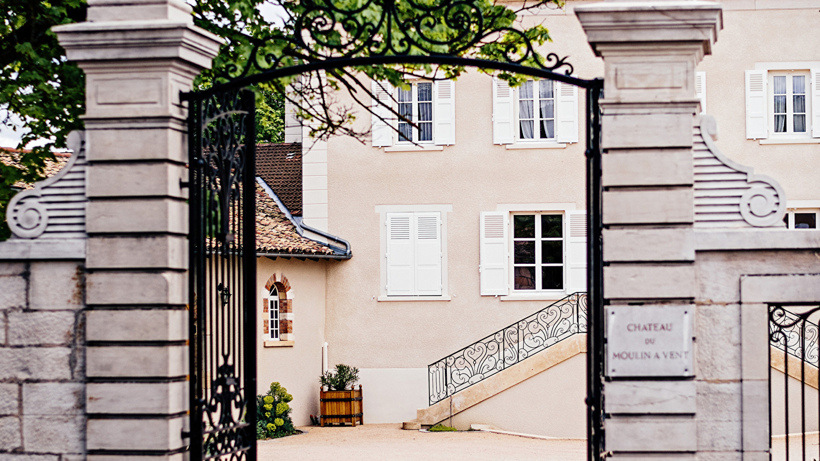 Entre histoire, terroirs et millésimes rares