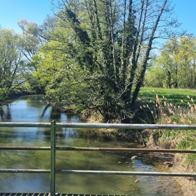 Circuit Gravel n°11 (bleu) - Prairie de Jayat - Chartreuse de Montmerle