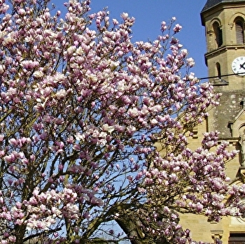 Circuit d'Ouroux - OUROUX-SOUS-LE-BOIS-SAINTE-MARIE