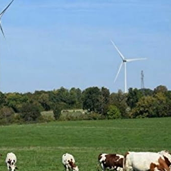 Circuit de randonnée pédestre - Parc Éolien de Fontenelle-Montby - FONTENELLE-MONTBY