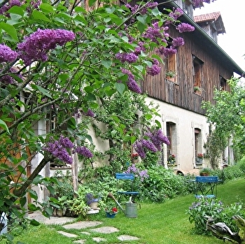 Chez les Colin - PAYS-DE-MONTBENOIT