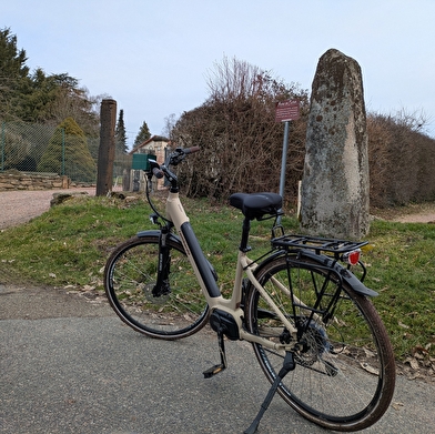 Entre étangs et vieilles pierres