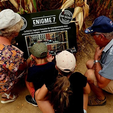 Le labyrinthe aux épis