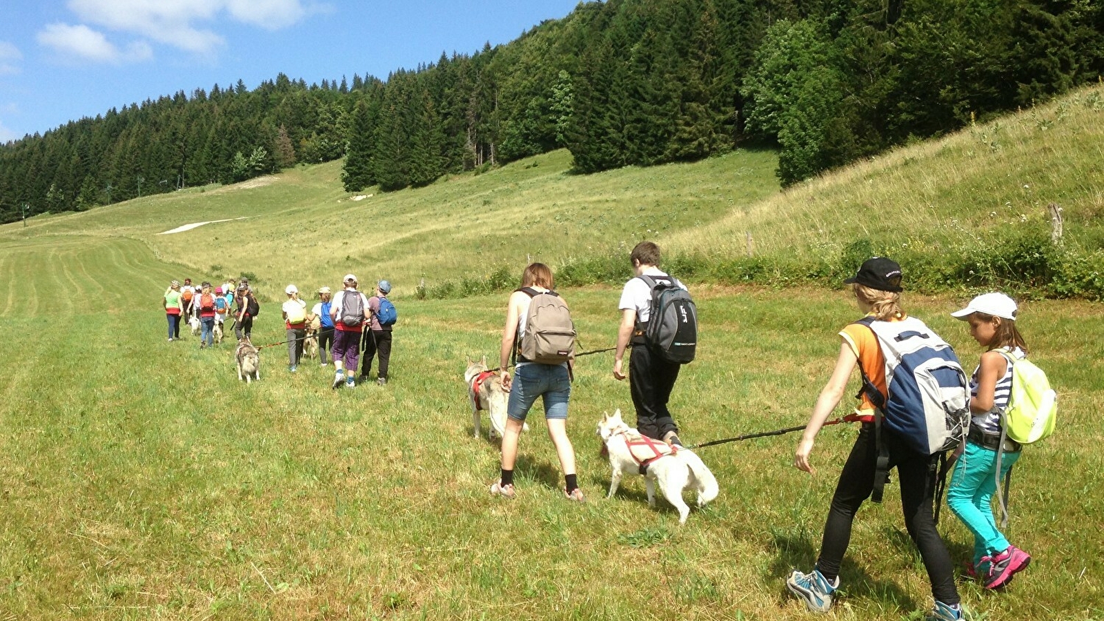 Free sled - Chiens de traîneaux / cani-rando et cani-trotinette