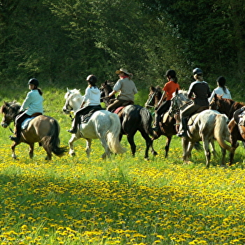 Ferme Équestre de Pesteau - MERRY-SEC