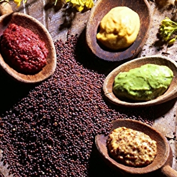 Atelier de création de la véritable Moutarde à Dijon - DIJON