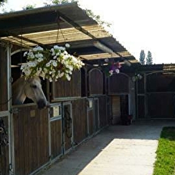 Cercle Hippique de la Longueraie - CERISIERS