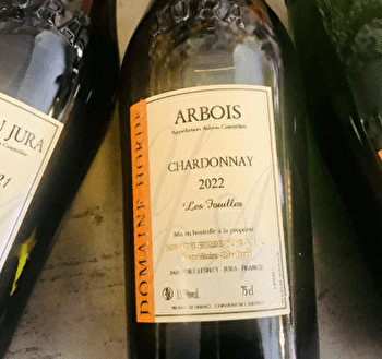 Domaine Yves HORDÉ - PORT-LESNEY