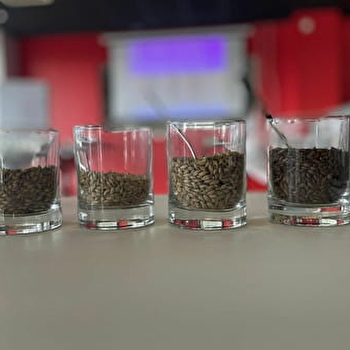 BIERE EXPERIENCES - BEAUNE