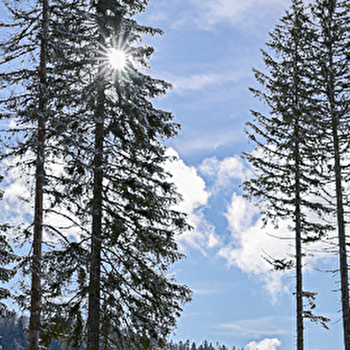 Site Nordique de Arc-sous-Cicon - ARC-SOUS-CICON