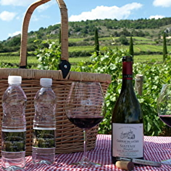 Expérience Château de La Crée & Pique-Nique - Château de La Crée - SANTENAY