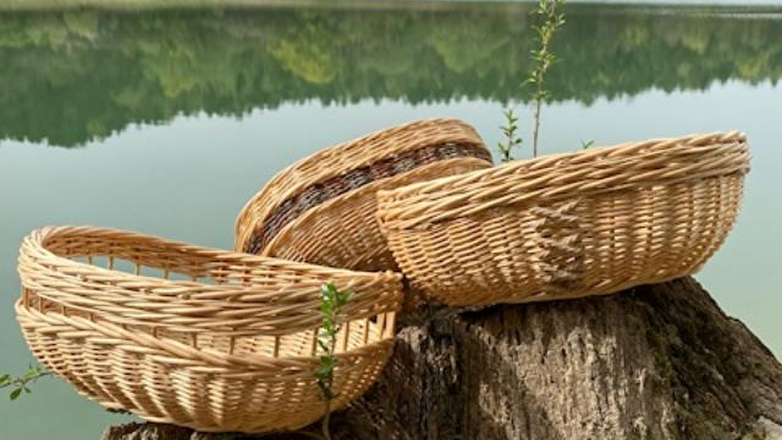 La vannerie terre d'émeraude 