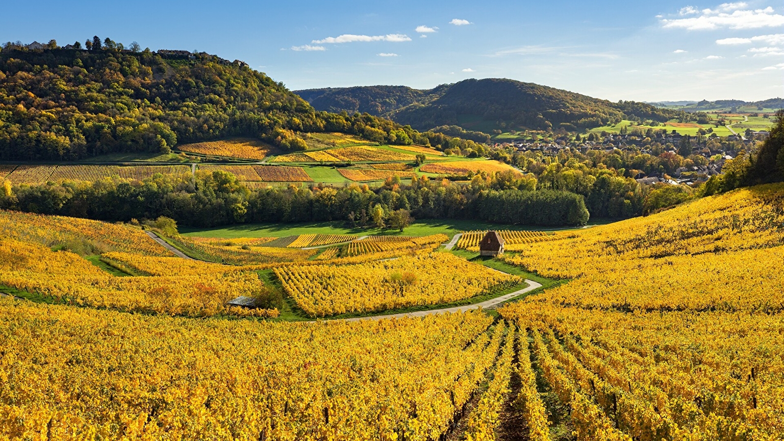 Le Vignoble du Château-Chalon