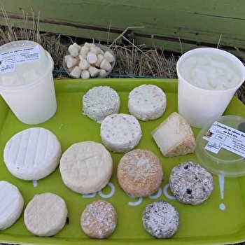 la Chèvrerie la Romaine - LA ROMAINE