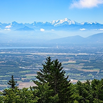 Randonnée pédestre : Le parcours du Lynx - CROZET