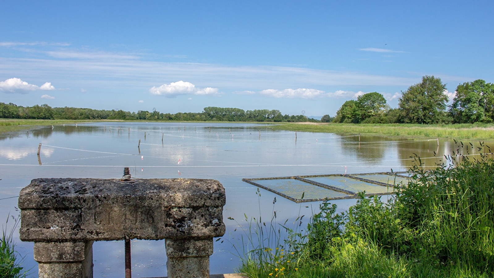 Itinérance L'Ain à Vélo - Entre Dombes et Val de Saône (2 jours)