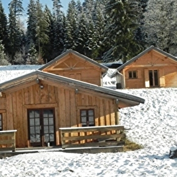 Chalet Chez Liadet - Edelweiss - MOUTHE