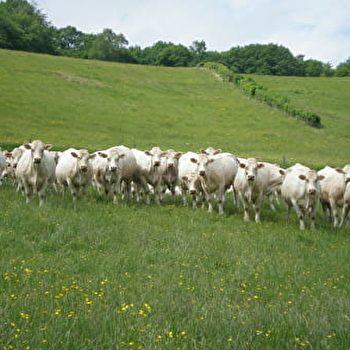 GAEC de l'Ouche à la Ville - PREPORCHE