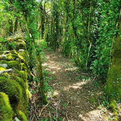 Randonnée - Signal de Hautecourt